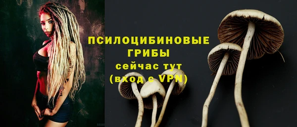 гашик Алексеевка