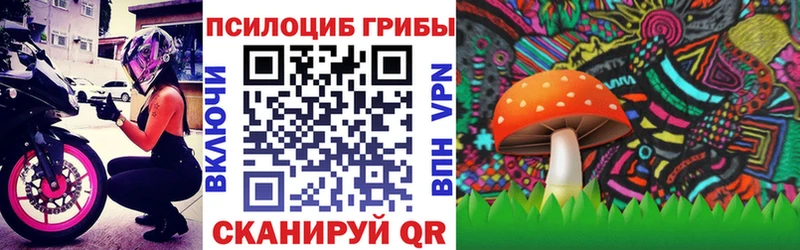 KRAKEN вход  Топки  Псилоцибиновые грибы прущие грибы 