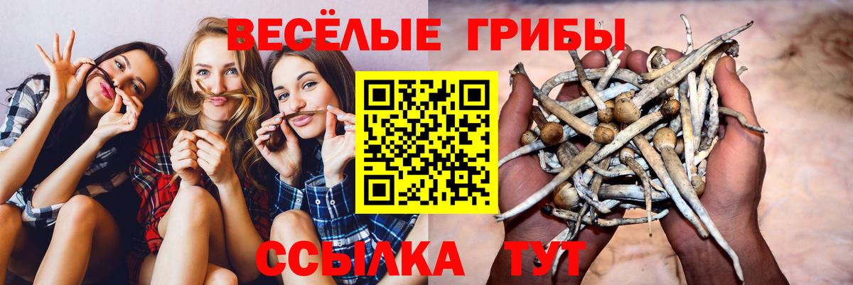 Галлюциногенные грибы Cubensis Топки